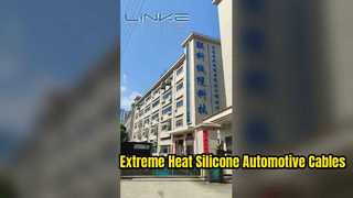Fabrieksintroductie van Dongguan Lianke Cable Technology Co., Ltd.